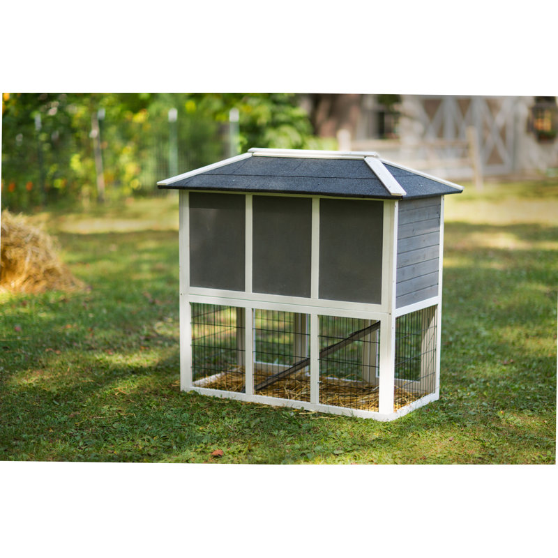 Archie Oscar Nickols Weather Resistant Rabbit Hutch with Ramp Reviews Wayfair